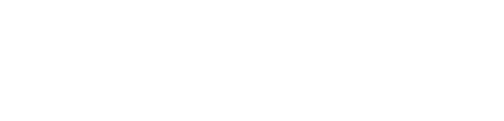Bahaushiya International